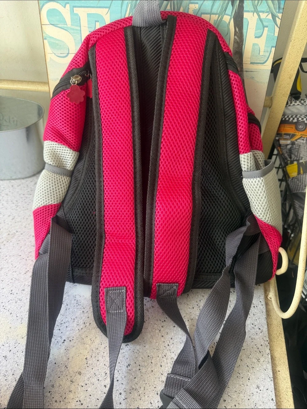 Pink and Gray Women’s Mesh Backpack - Unbranded pet carrier